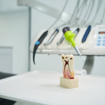 Tooth model on dental tray in clinic.